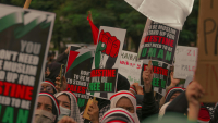 Un genocidio ocurre en Palestina
