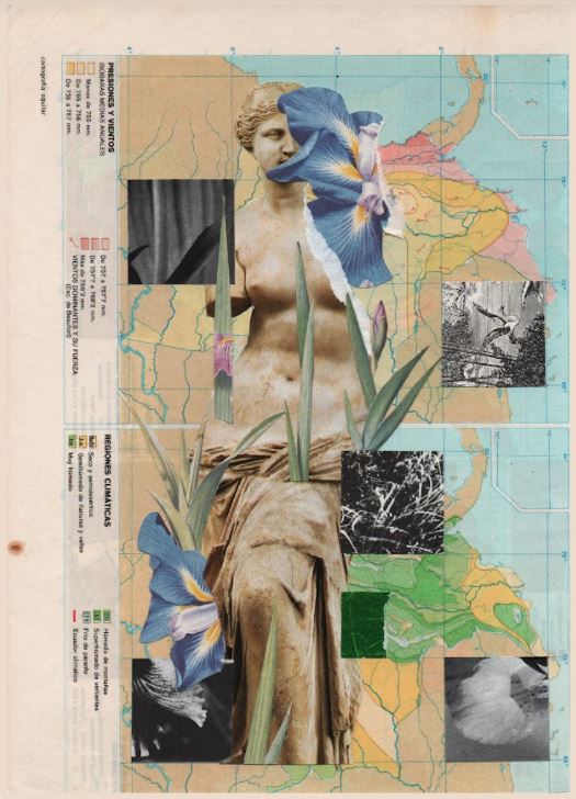 collage 8
