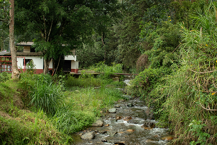 Quebrada Doña María, tercera microcuenca más importante para el río Medellín