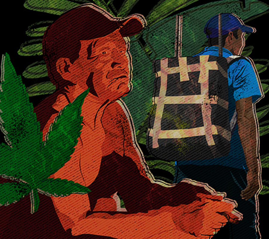 Cargadores de marihuana en la Amazonia recurren a chamanes en busca de protección