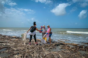 Salvando Mares: una iniciativa que busca conservar las playas del Urabá