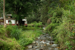 Quebrada Doña María en San Antonio de Prado