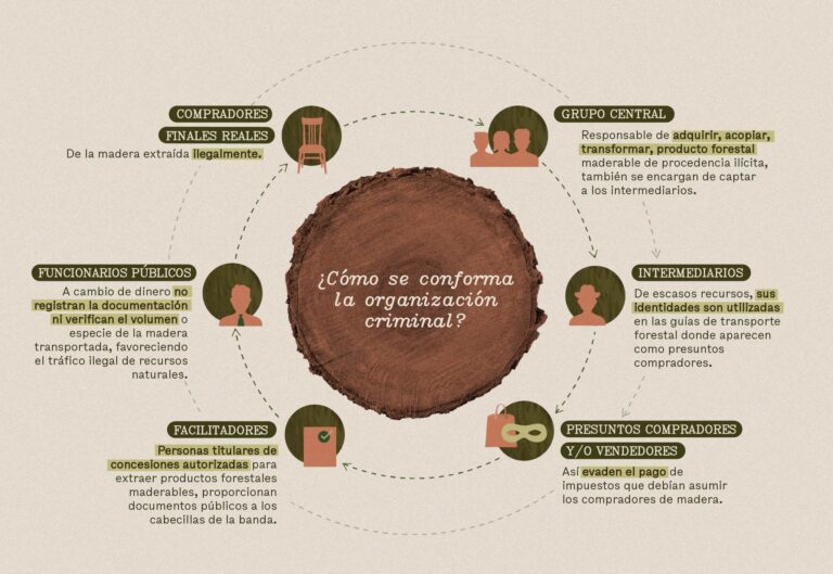 Infografia organizaciones