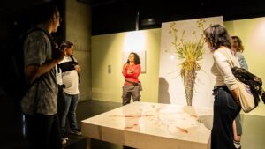 Esta obra es Frailejonmetría Comparada Esc 1:1, un mapa de relaciones táctiles de la muestra Espesuras hecho por Eulalia de Valdenebro. Fotografía: cortesía del Parque Explora.