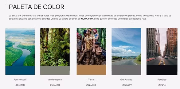Paleta de Color Nuda Vida.