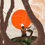 Amazonía bajo ataque: Un mapeo de la delincuencia en la selva tropical más grande del mundo