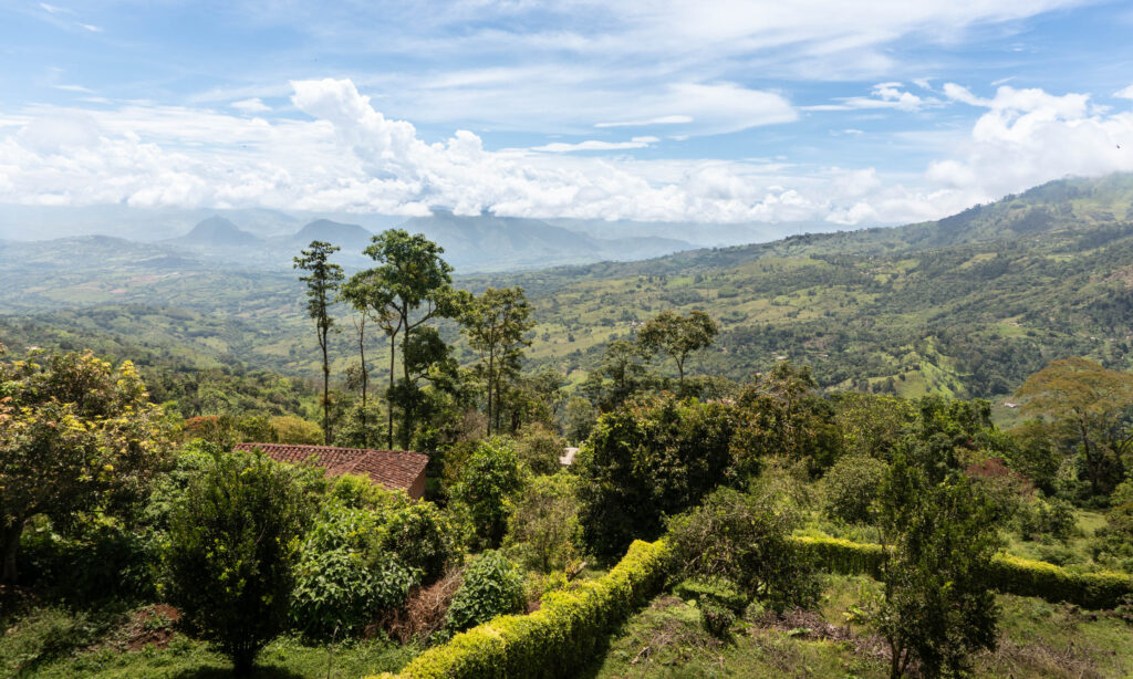 Voces que siembran siempre y resisten cuando toca