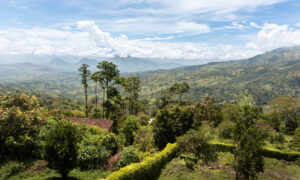 Voces que siembran siempre y resisten cuando toca