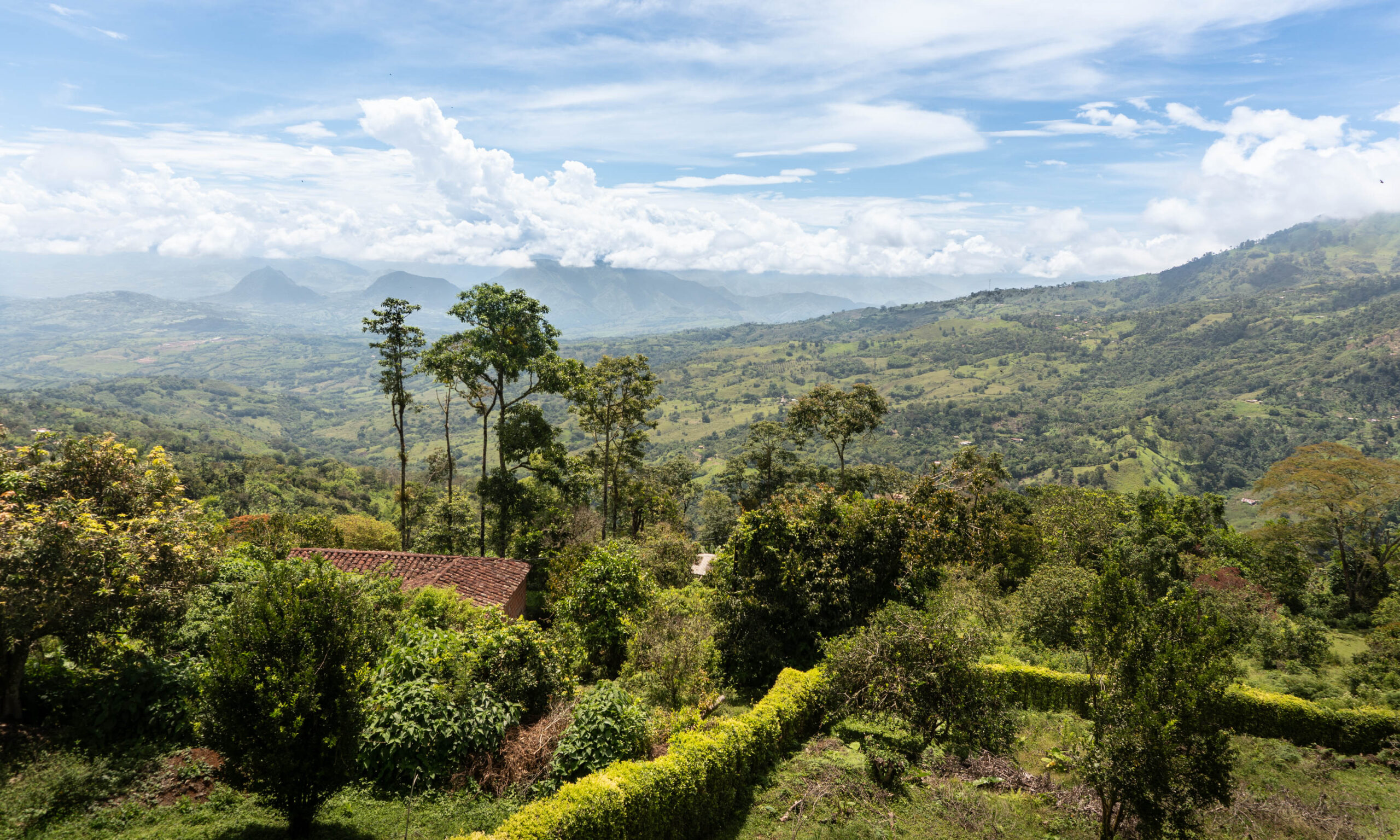 Voces que siembran siempre y resisten cuando toca