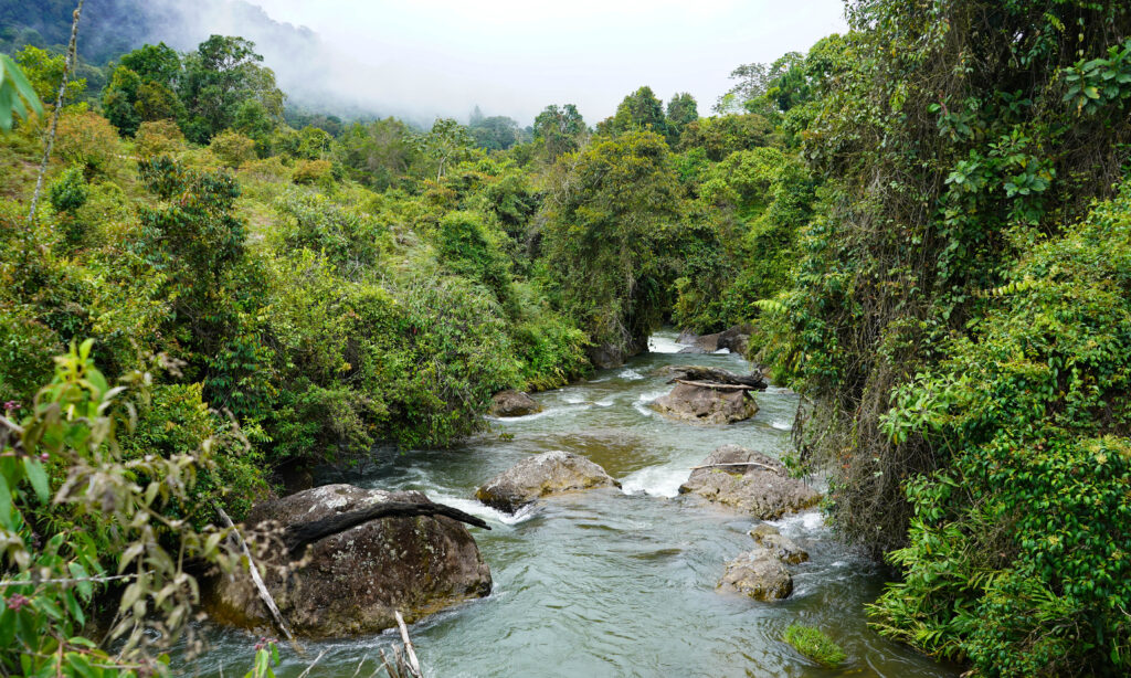 Custodiar el agua, cuidar el territorio