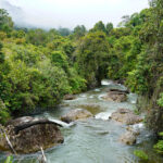 El agua que cuidamos