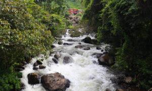 La minería no calma la sed. Foto: Valeria Londoño Morales.