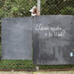 Editorial: De metáforas, bates y debates