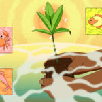 Raíces de resistencia: mujeres raizales que restauran manglares en Santa Catalina