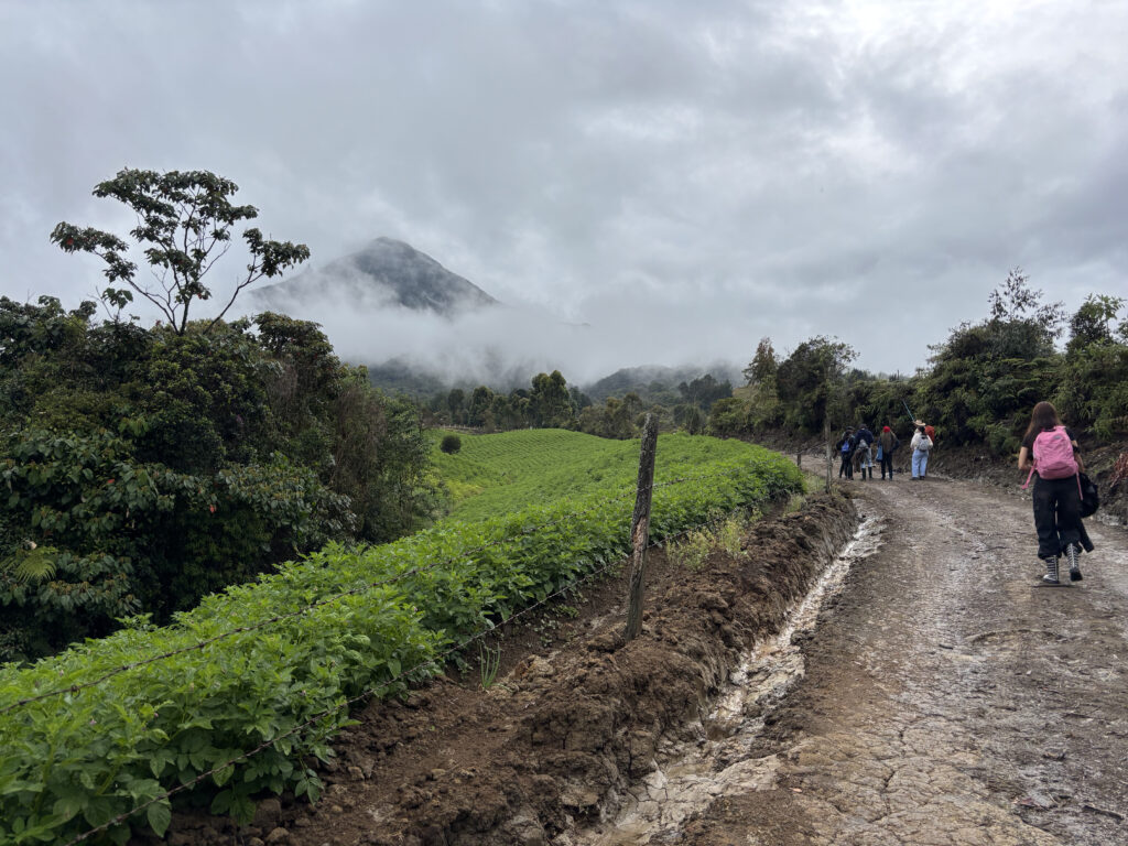 Siete personas recorren un camino en Sonsón, la neblina tapa una parte del paisaje.
