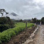 Vida Maitamá: un tesoro natural en peligro