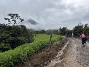 Siete personas recorren un camino en Sonsón, la neblina tapa una parte del paisaje.