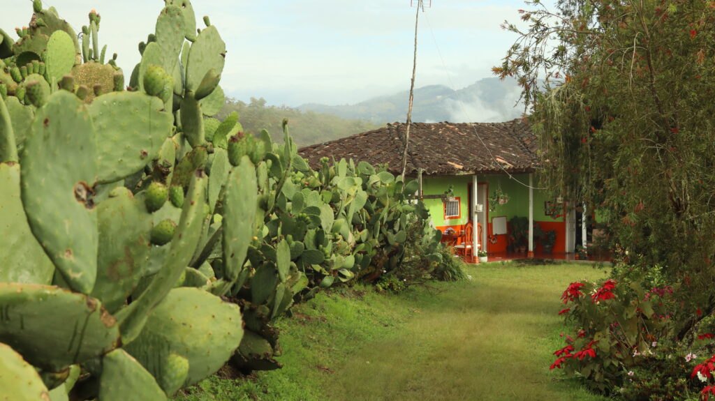 Finca en Sonsón