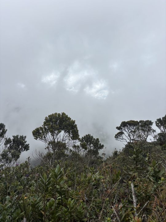 La temperatura de los páramos de Sonsón varía, en promedio, entre tres y 12 grados centígrados. Foto: Linda Valentina Ramírez.